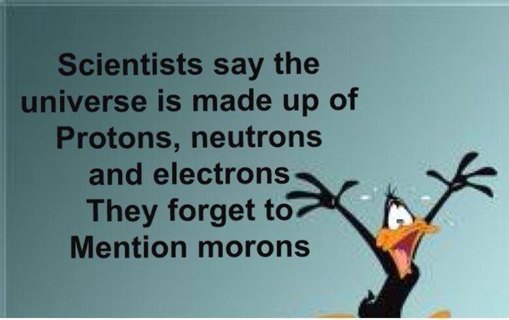 scientists-say-the-universe-is-made-up-of-protons-neutrons-and-electrons-they-forget-to-mention-morons-daffy-duck.jpg