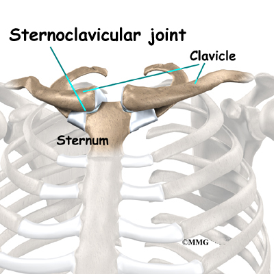 shoulder_stclav_anatomy01.jpg