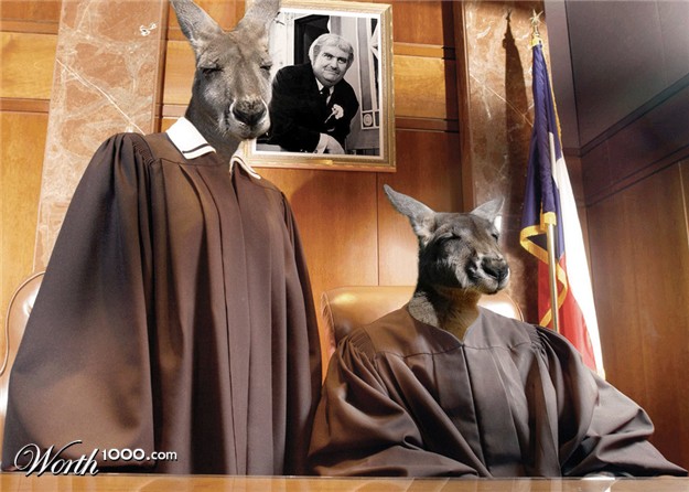 kangaroo-judges_2.jpg
