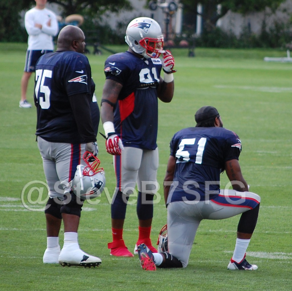 The Patriots need both Vince Wilfork and Jerod Mayo healthy in 2014. (SBalestrieri photo)