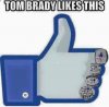 Tom Brady likes this.jpg