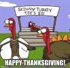 skinny turkey meme.jpg