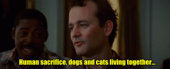 cats and dogs.gif