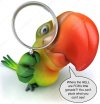 depositphotos_51155125-stock-photo-green-parrot-with-magnifying-glass.jpg