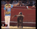 recorte-toro-wow.gif
