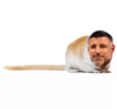 1770389431626.png