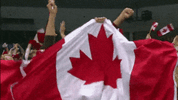 1782685547914.gif