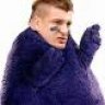 theGronk