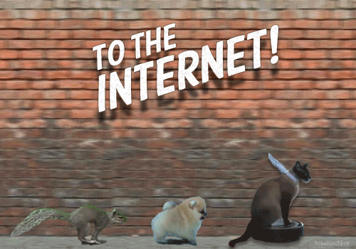 to-the-INTERNET.gif