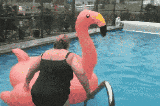 Flamingo-Dip.gif