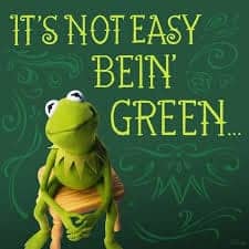 Its-not-easy-bein-green-w-Kermit.jpg