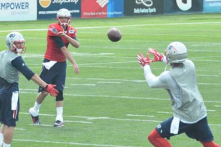 Five Things the Patriots OTAs Should Feature