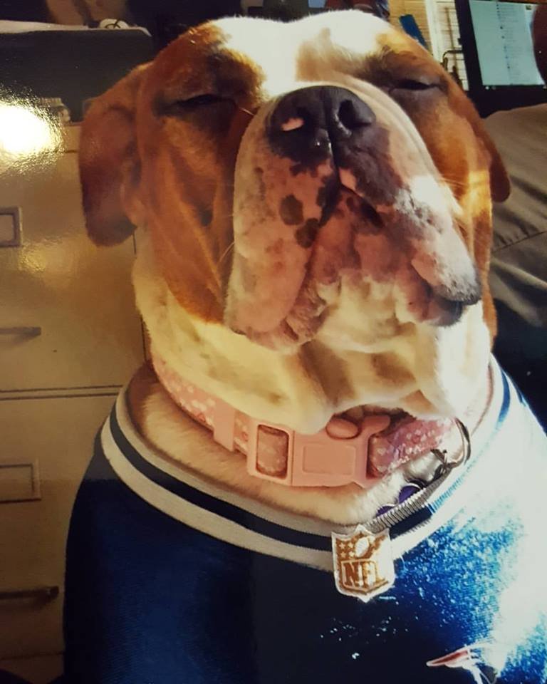 Georgia was a Pats Fan