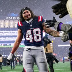 Several Patriots Remaining Free Agents Still Seeking Homes